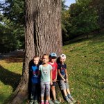 phoca_thumb_m_u liky 3 Fotogalerie